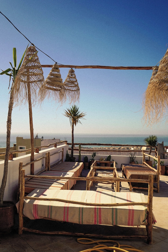 Wild surf morocco