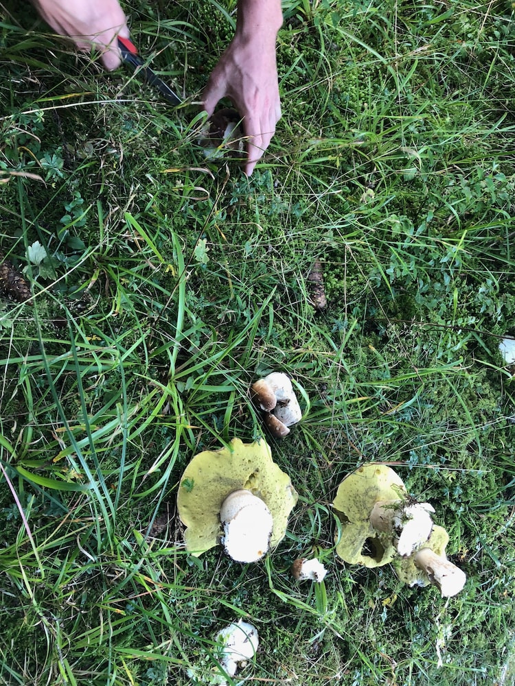 Photo 18