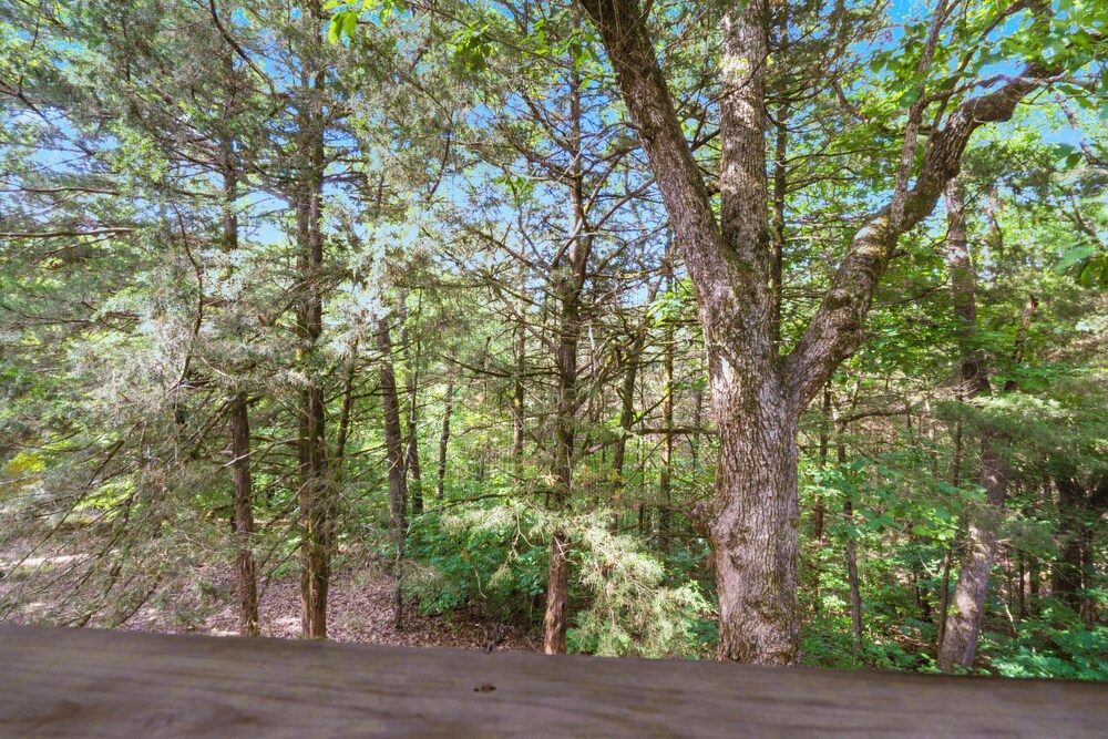 Baldknobber Ridge Escape - West Branson Cabin!
