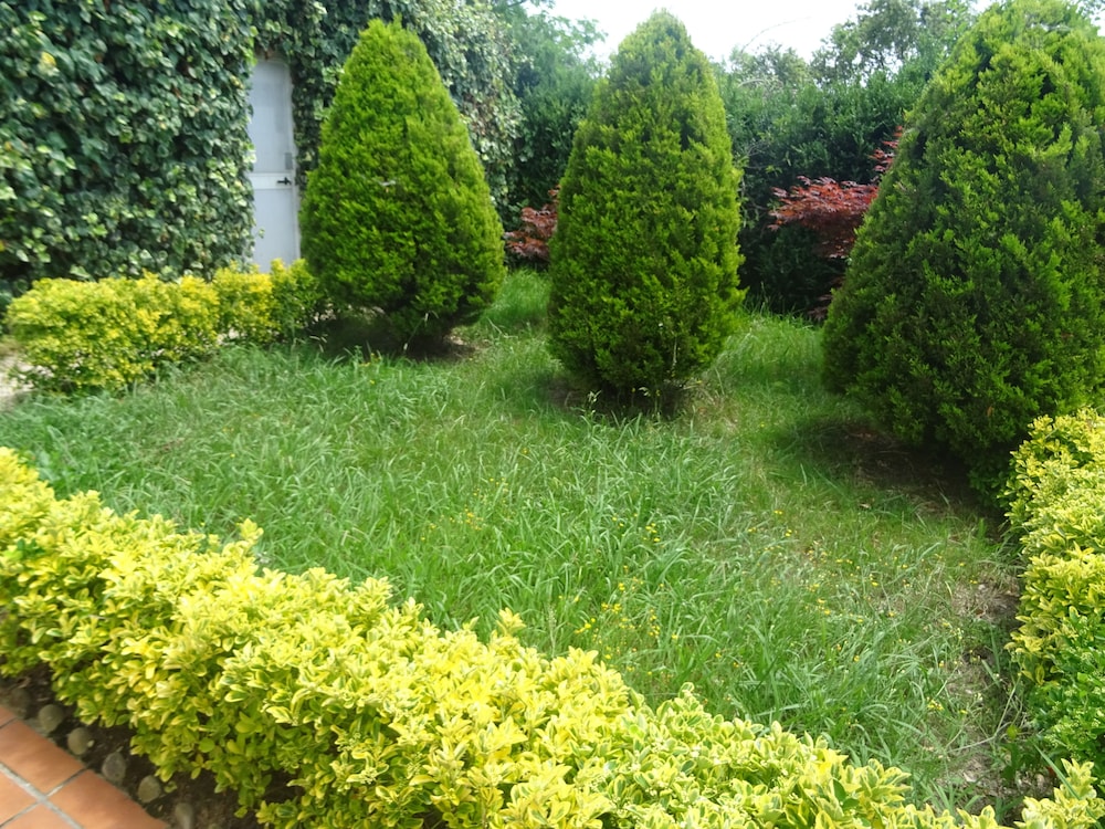 Arratzain