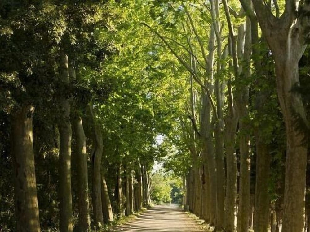 Gîtes Pech-céleyran, photo 20