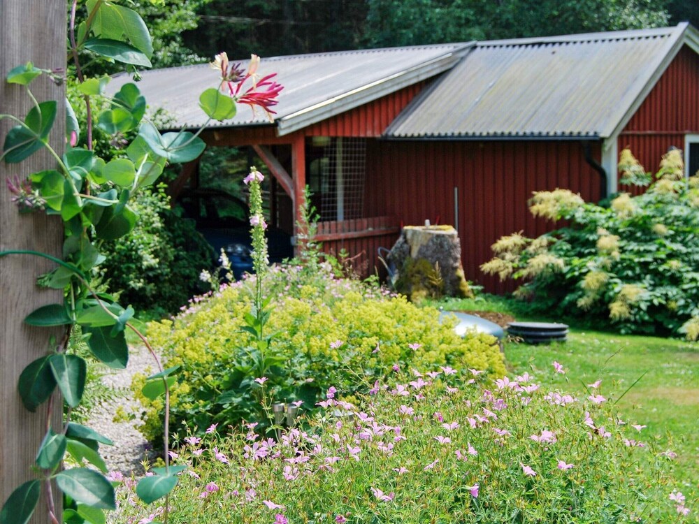 Photo 25