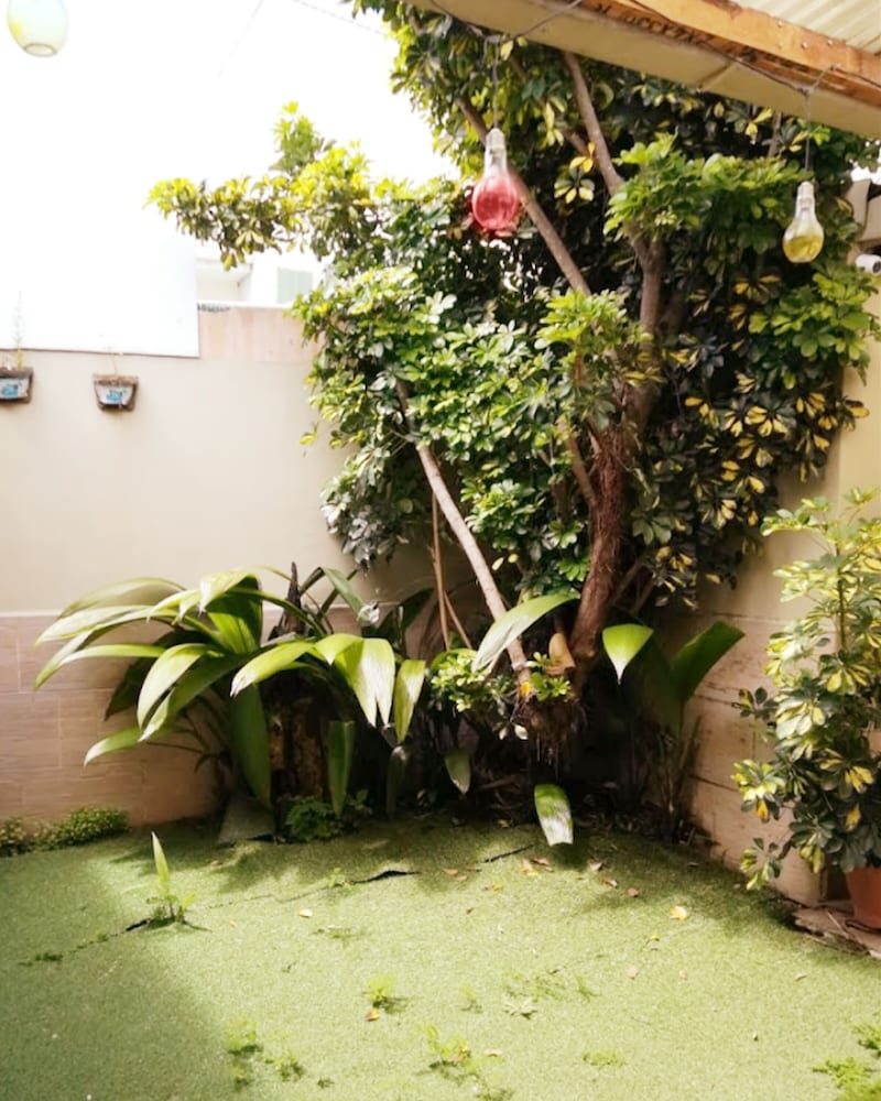 Gaudy´s Eco Hotel - Hostel