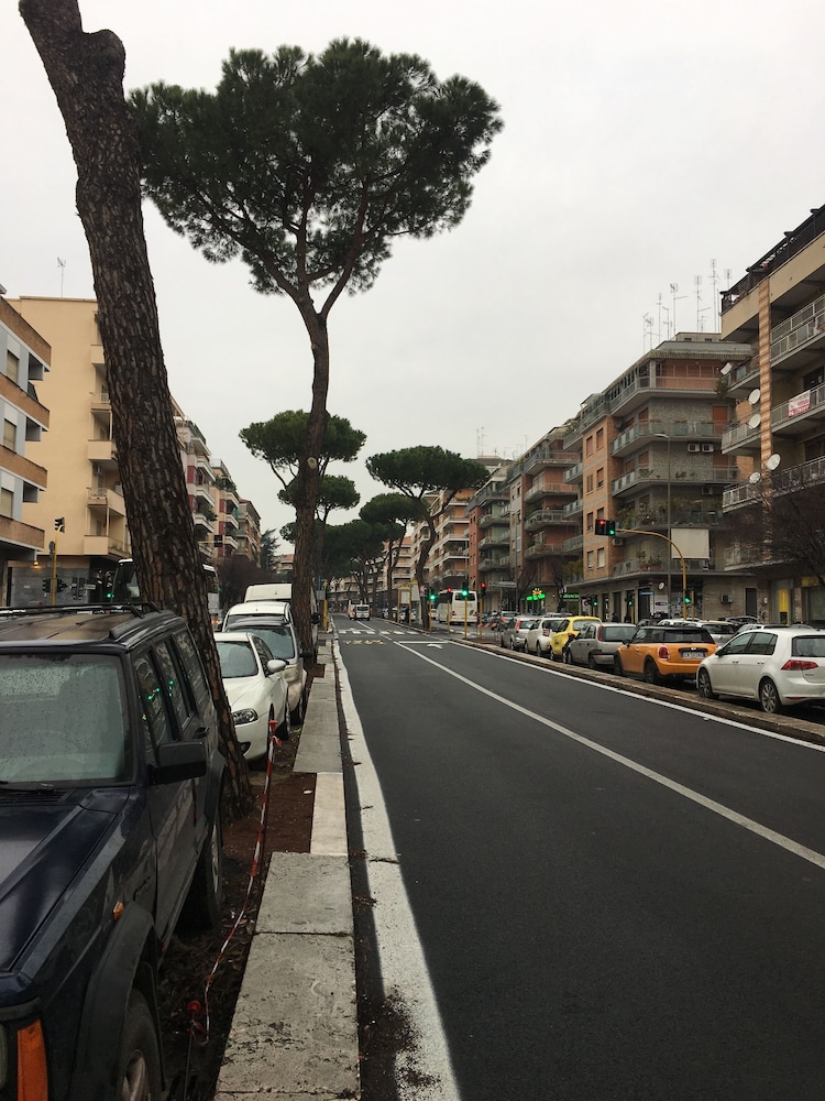 Domum Vaticani