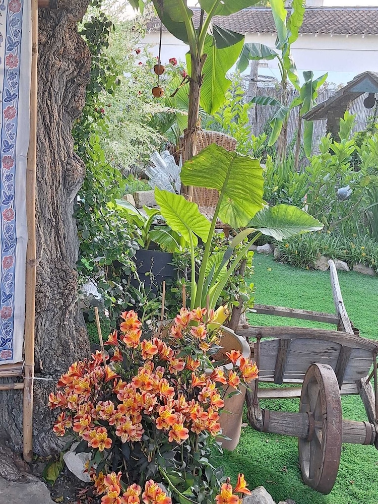 paradis colibri