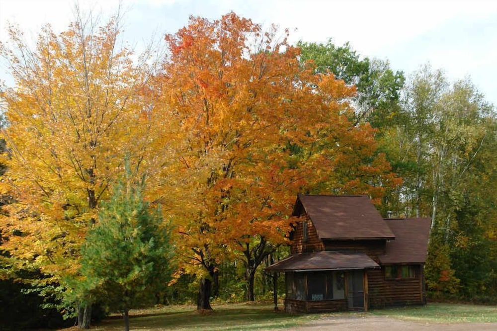 Shire In The Woods