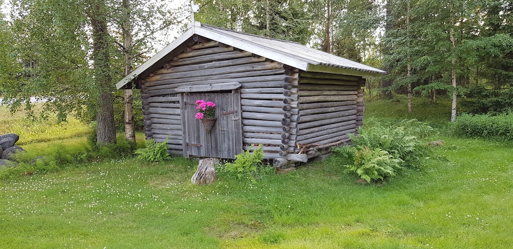 Photo 31
