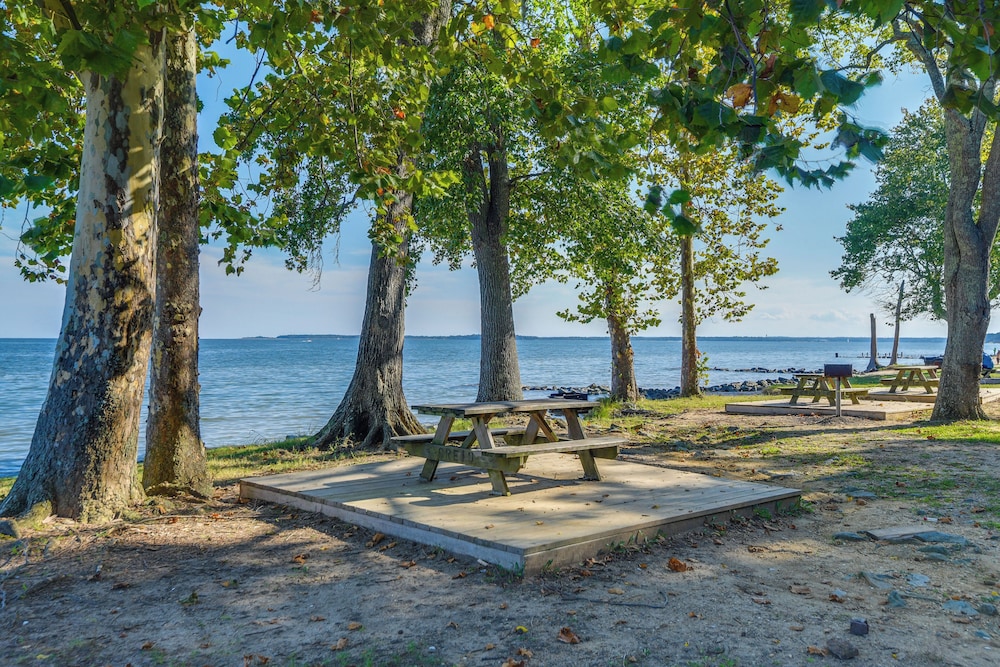 Lakefront Log Cabin Retreat w/ Hot tub + Kayaks!