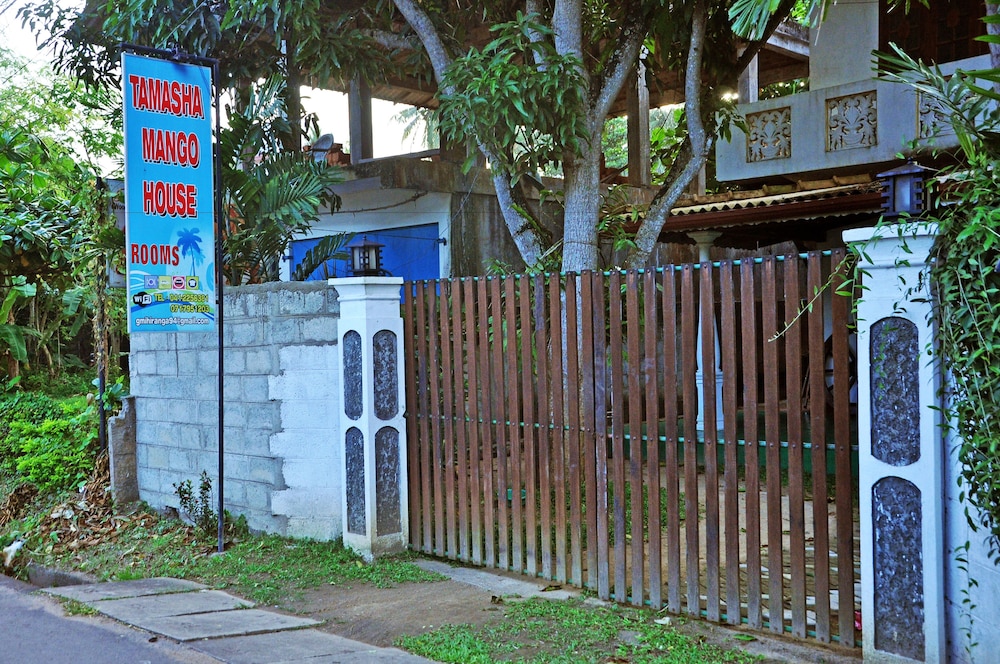 Tamasha Mango House view 3