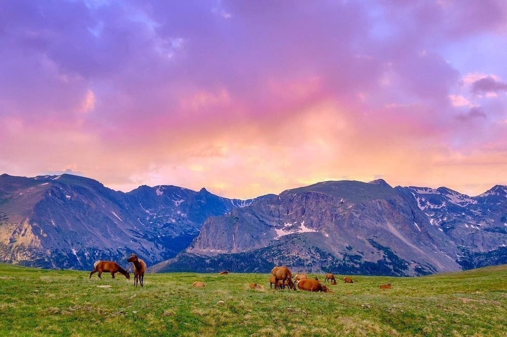 Frontier Mountain Retreat - Monthly Long-term Vacation Rental 30 Days Minimum -- Estes Park 1 Bedroom Apts by RedAwning - Property Image 12