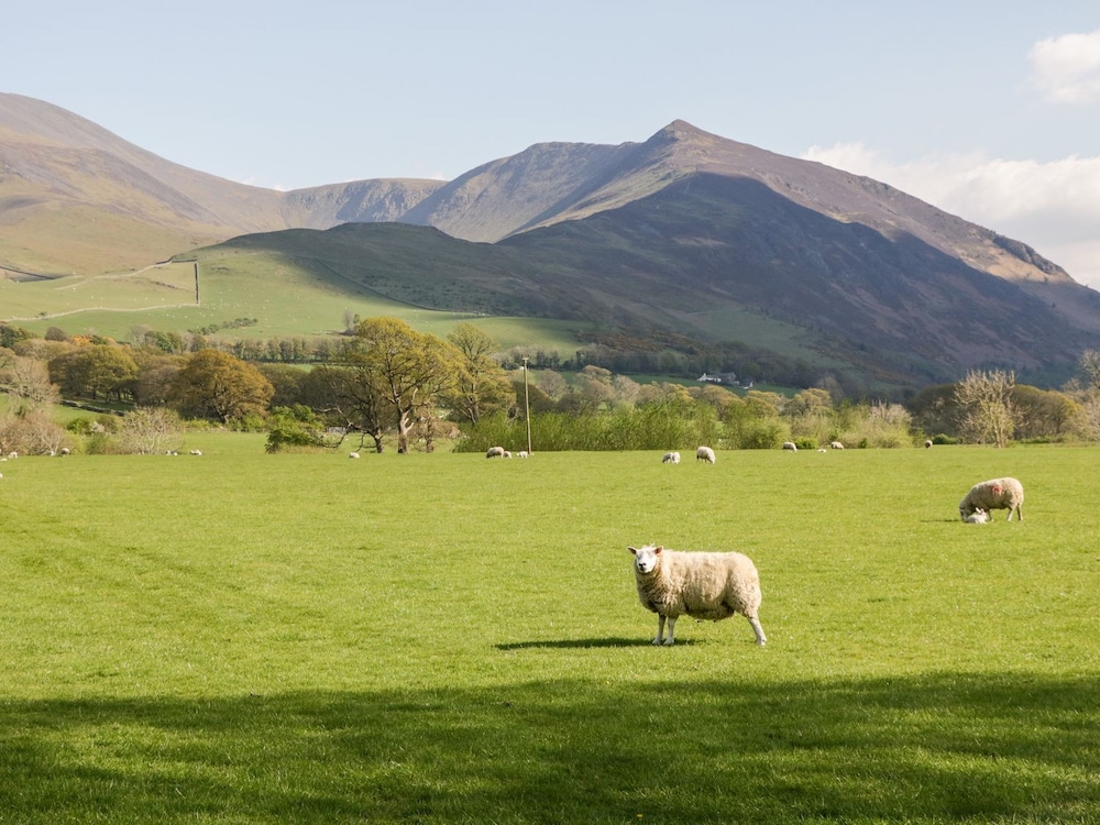 Lakeland View