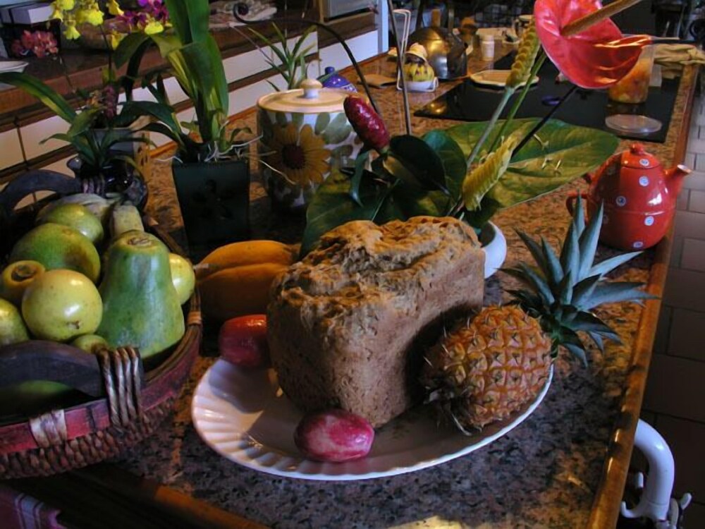 Lava Tree Tropic Inn
