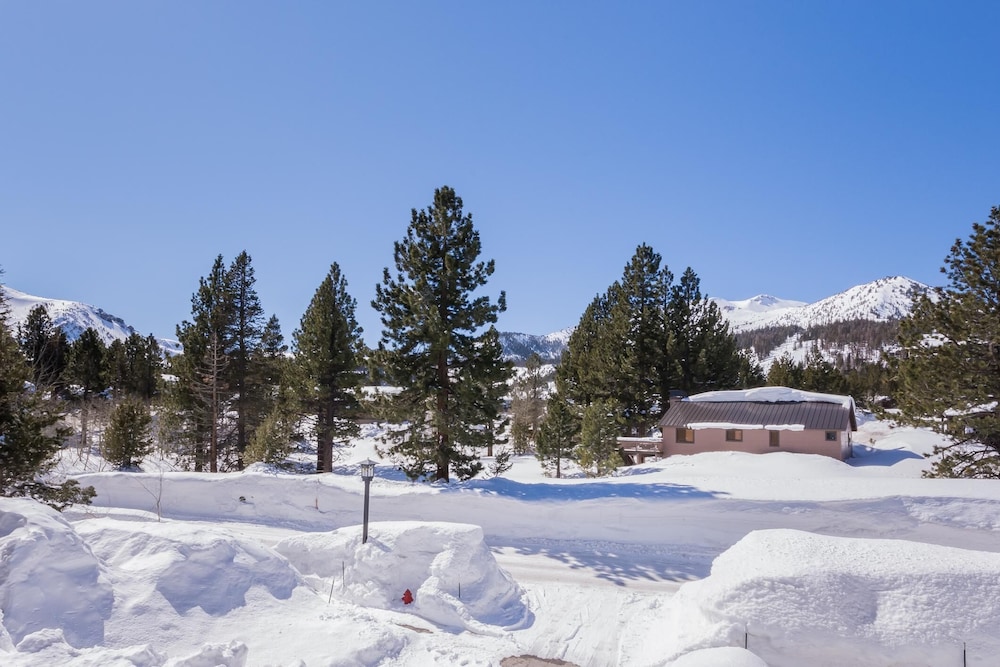 Mammoth Green 105