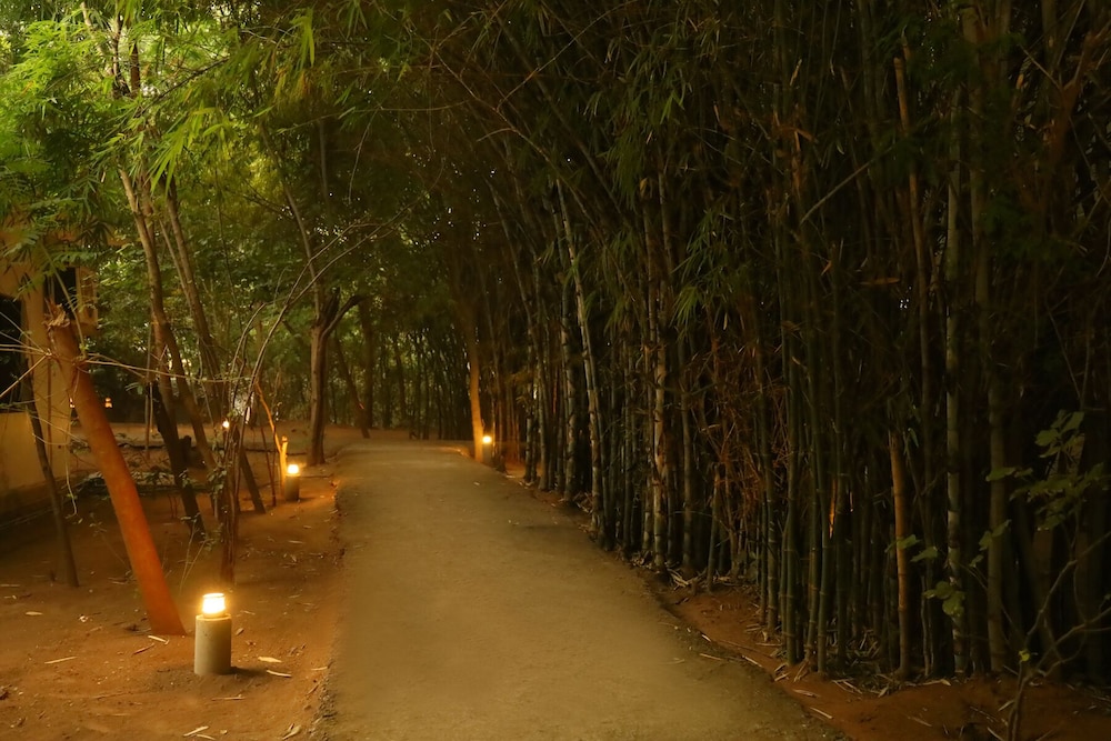 Panna Tiger Resort- River Side Property view 5