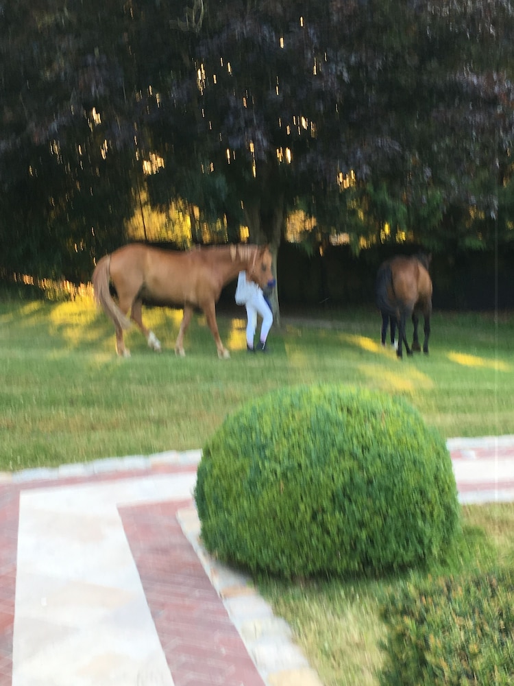 Manoir de Benerville et Spa