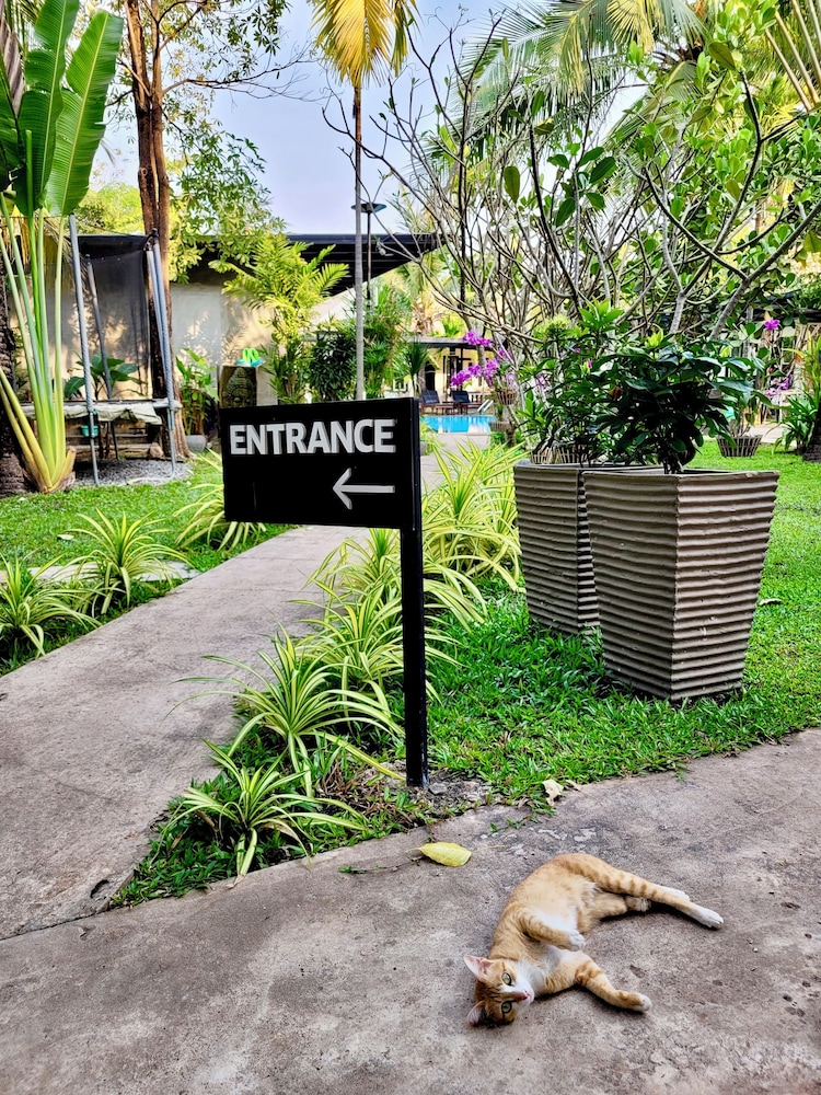 Banana Resort le Petit nid de Caro