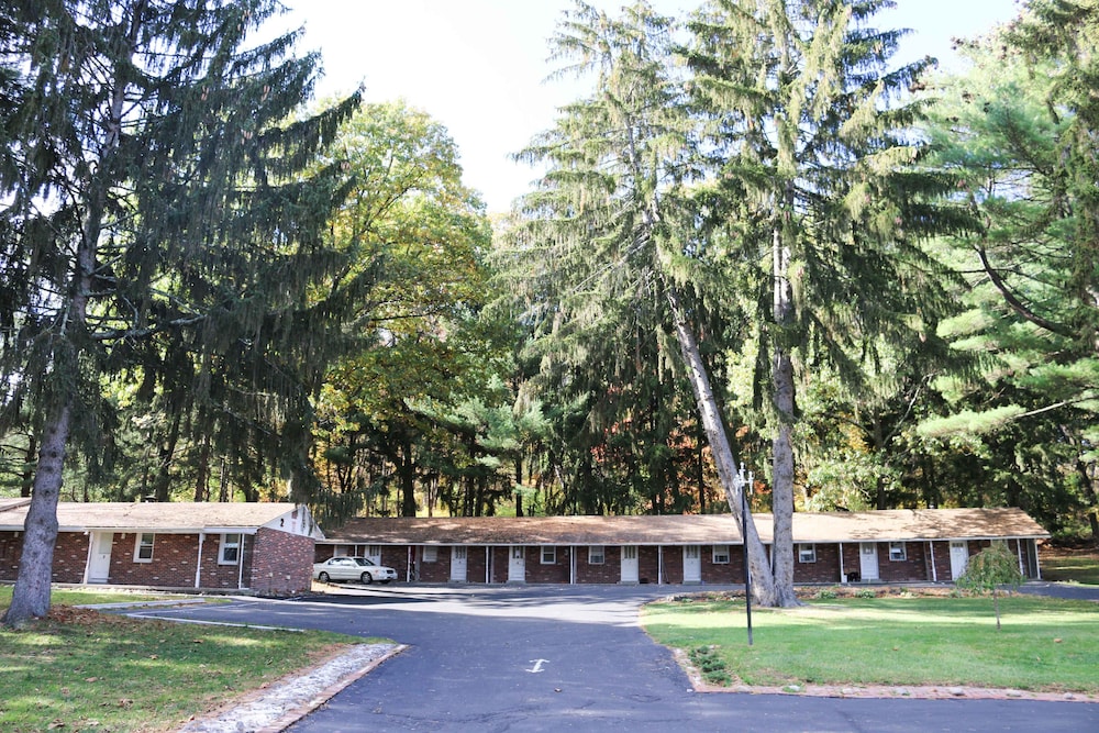 Atlas Motor Lodge - Property Image 17