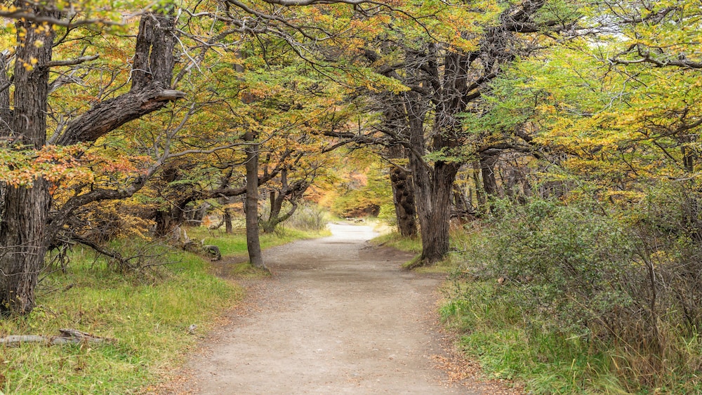 Bonanza Glamp Nature Experience