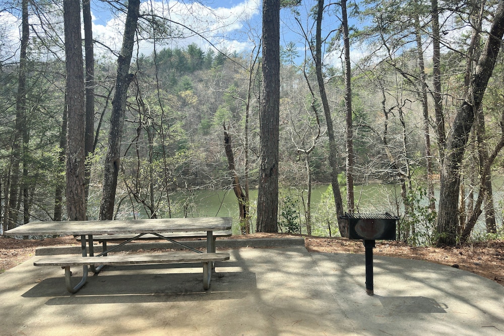 11 Mi to Dtwn Ellijay: Newly Built Modern Cabin!