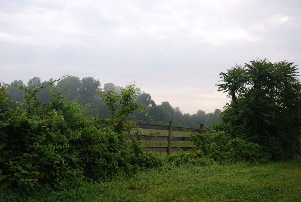 Columbia Vacations - The Columbia Inn at Peralynna Manor - Property Image 107