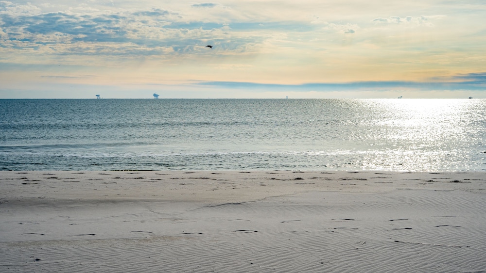 Dauphin Luv A - Beach Club #201-a 2 Bedroom Condo