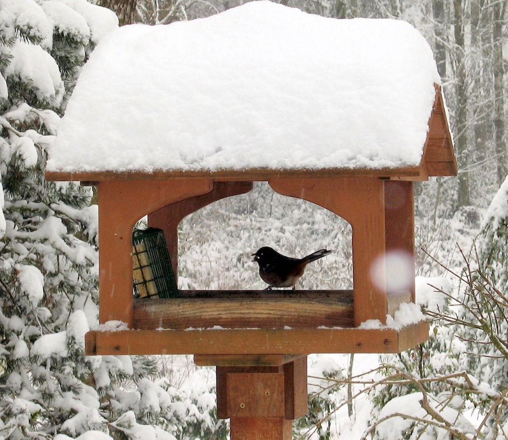 MapleRidge House: A BnB For All Seasons!
