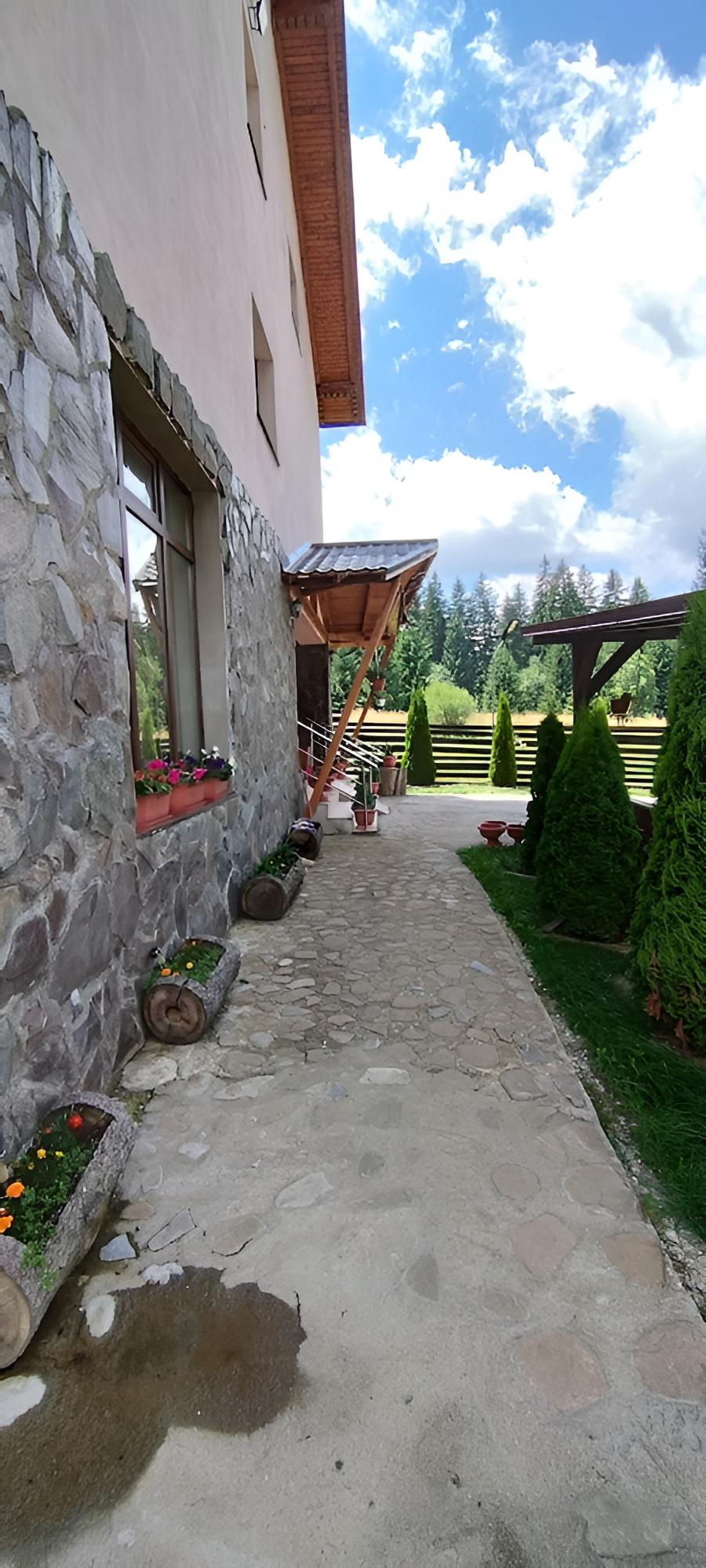 Photo 8