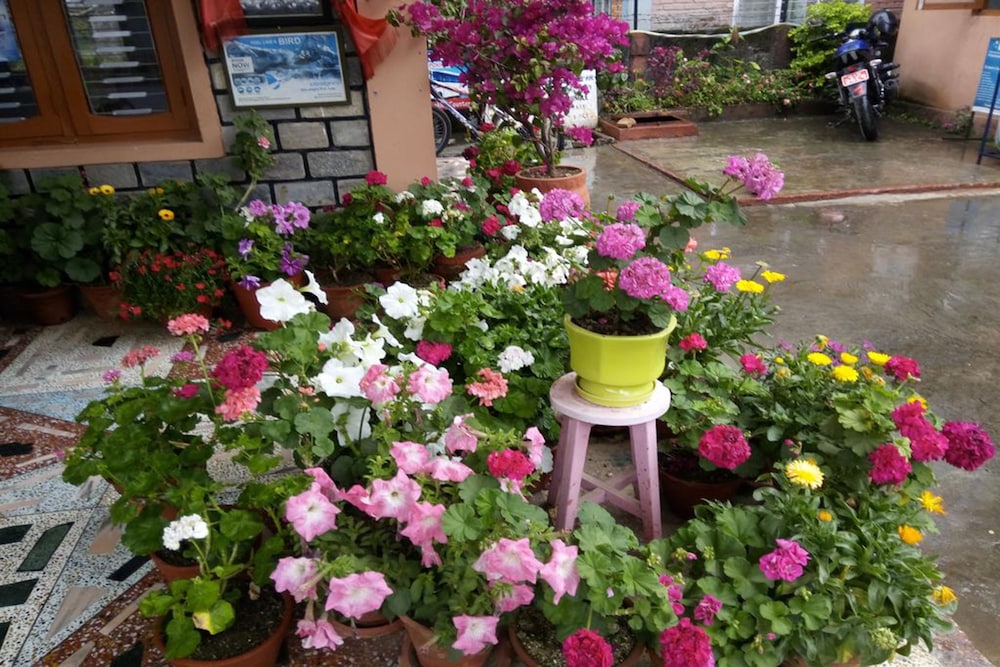 Galaxy Inn Guest House