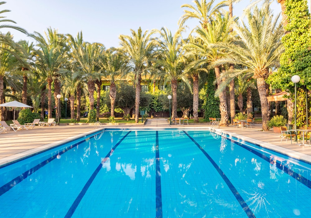 Elche Vacations - Hotel Jardin Milenio - Property Image 44
