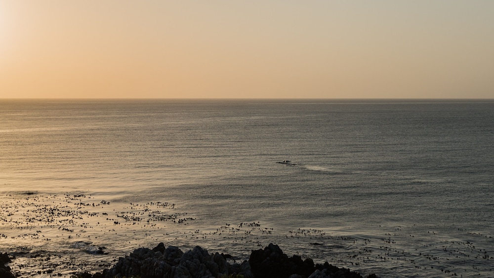 The Lookout at Whale Cove