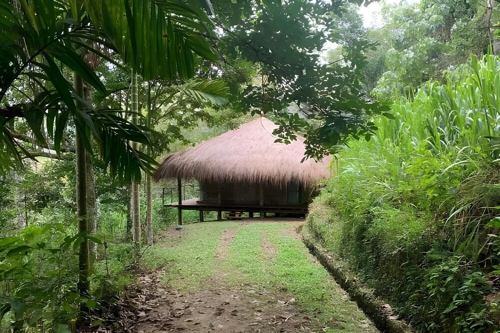 Guava House by The Serendipity Collection