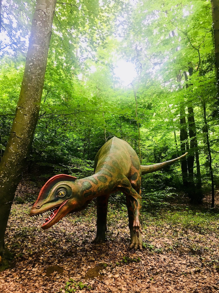 Baumhotel Styrassic Park