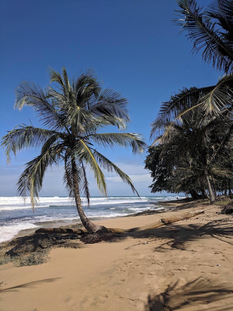 Caribbean Alchemy Cocles Beach