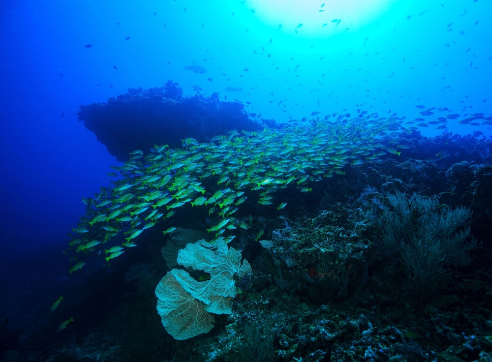 BB Island House Dhigurah