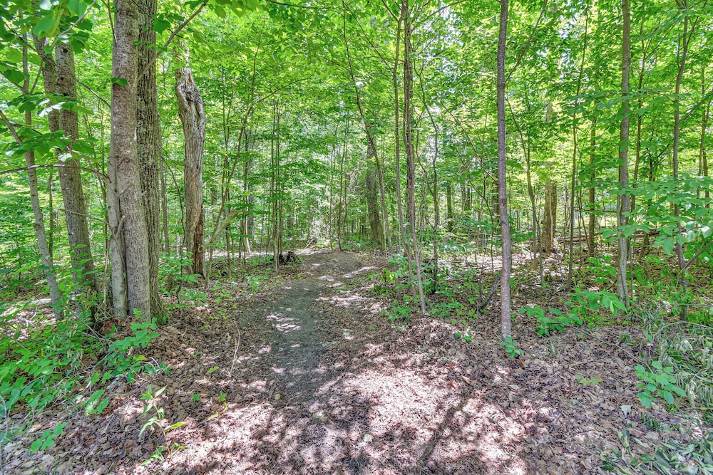 Woodsy 20-acre Retreat w/ Hot Tub in Mancelona