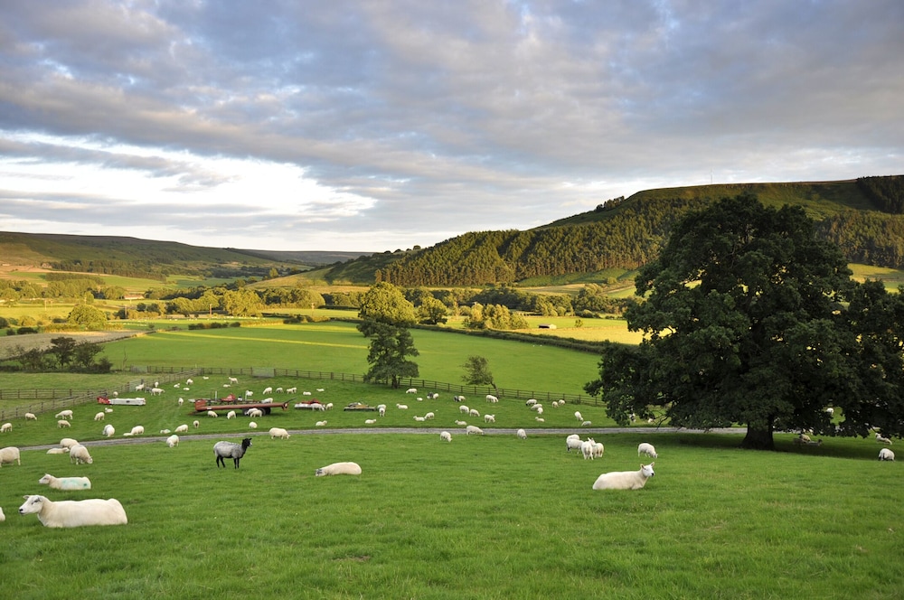 Sheep Cote Shepherds Hut