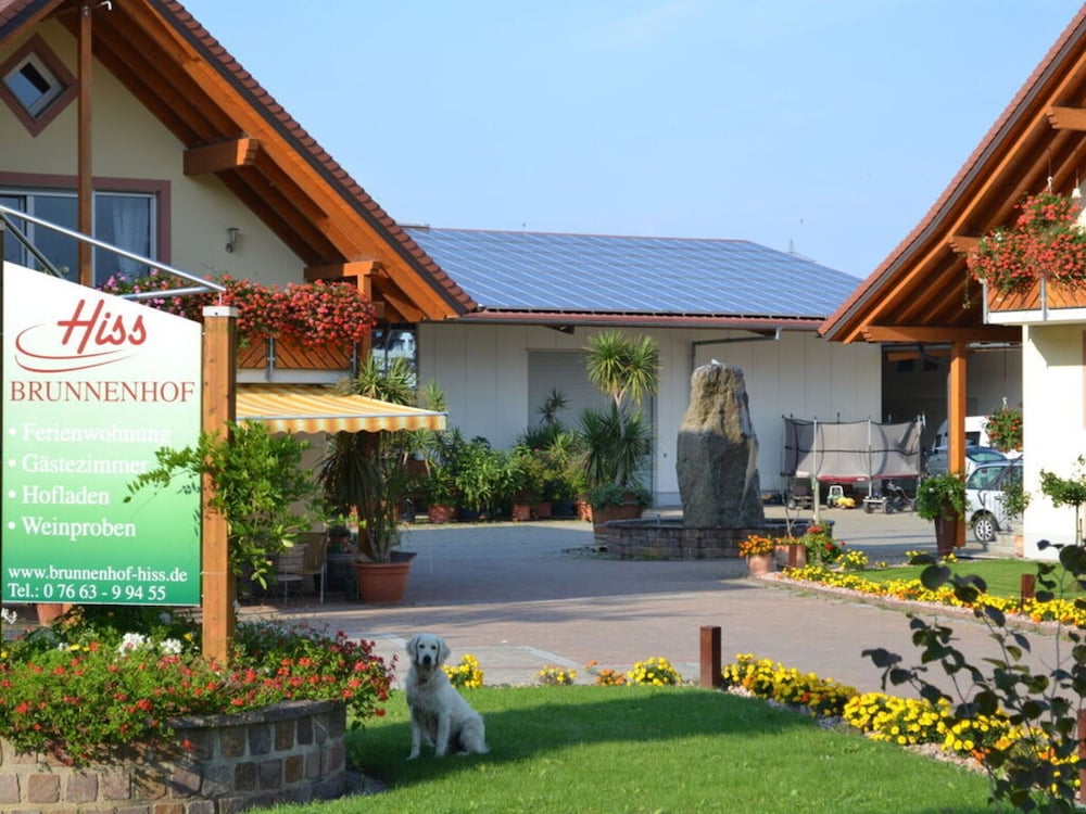 Vakantiewoning in Zwarte Woud