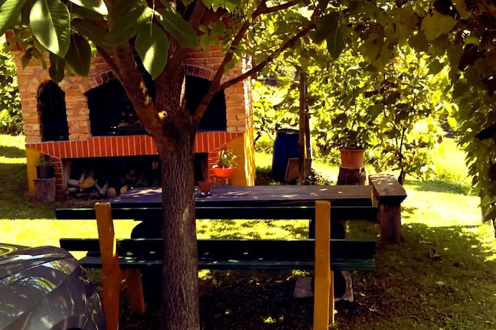 Photo 13