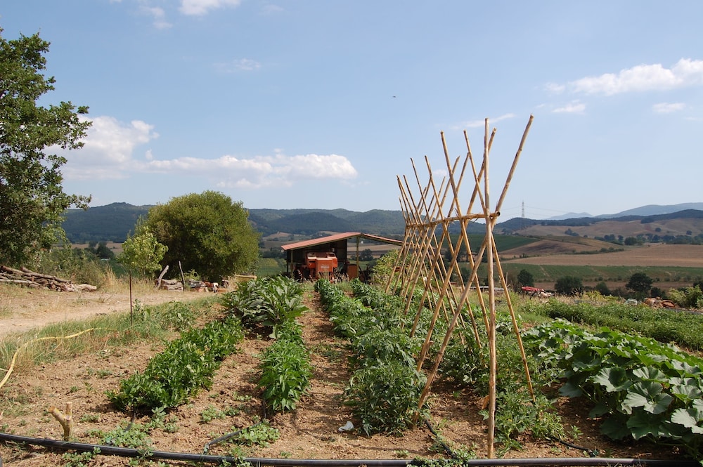 Agriturismo Montepozzalino