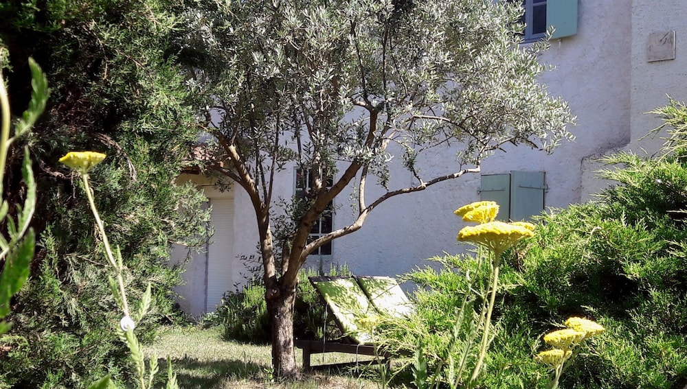 Photo 17