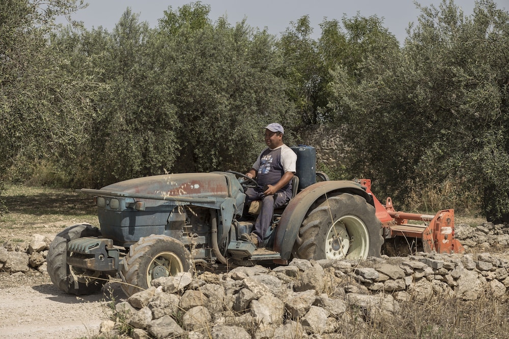 Villa Zottopera photo 3