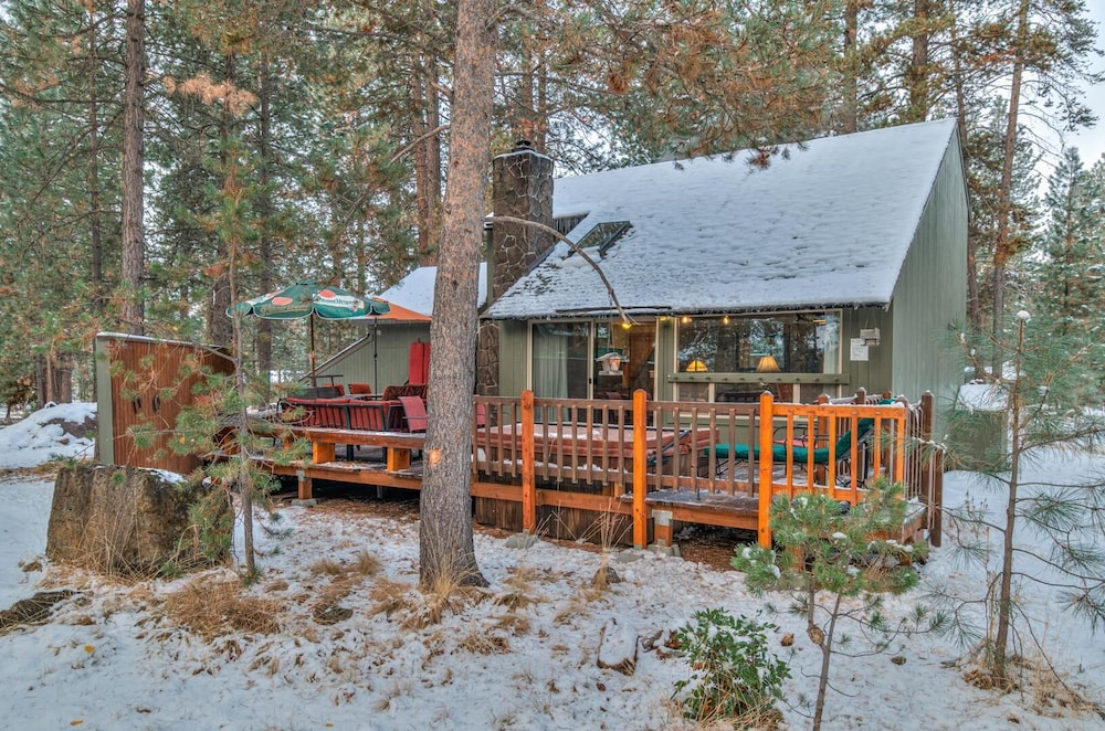 Pine Needle Lane 7