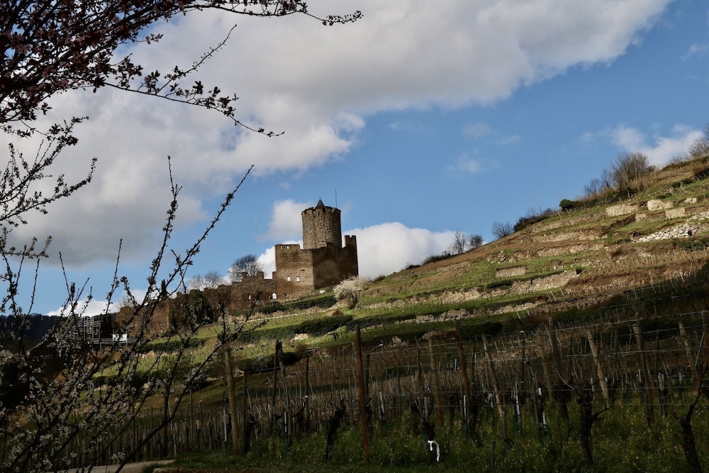 Chambres D'hôtes Les Ecrins
