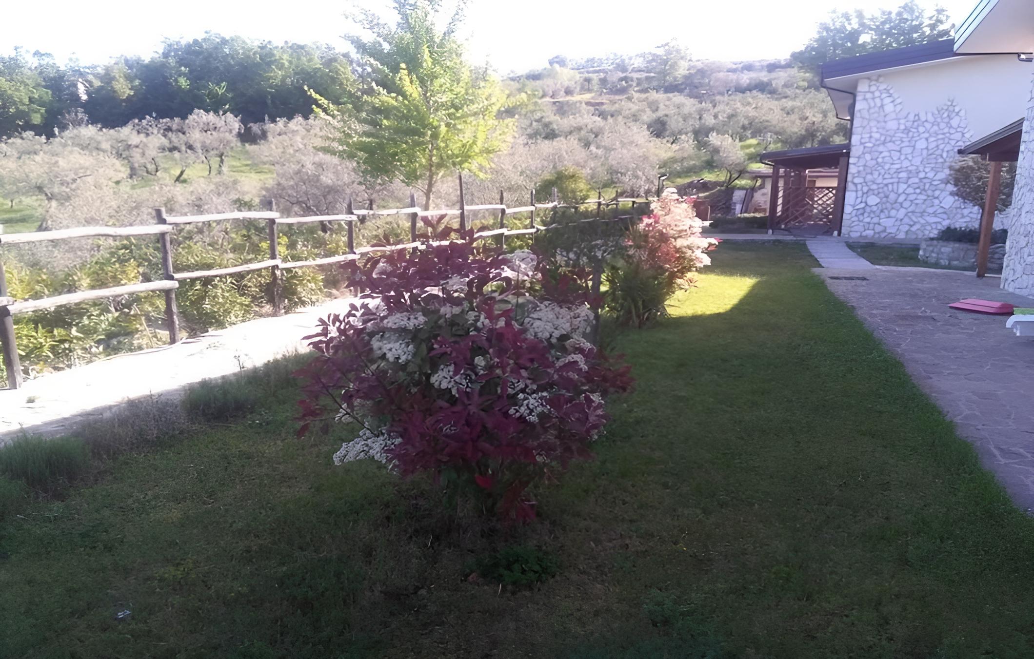 Photo 27
