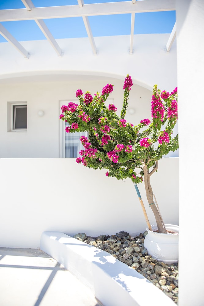 White Passion Villa