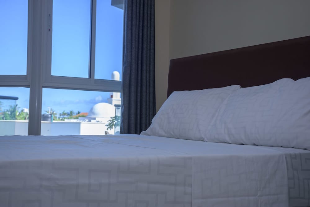 Nemadek Le Royal view 5