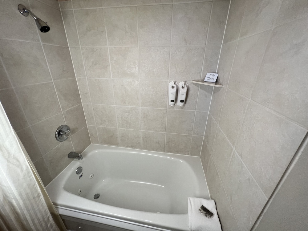 Photo 46