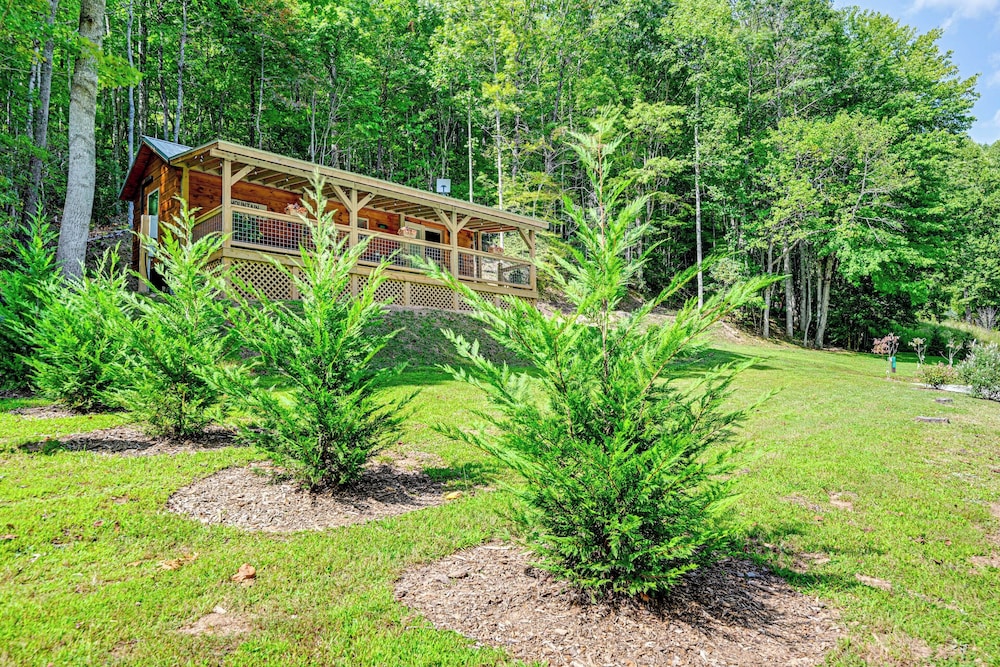 Franklin Cabin w/ Creek Access: Hike & Fish! view 4