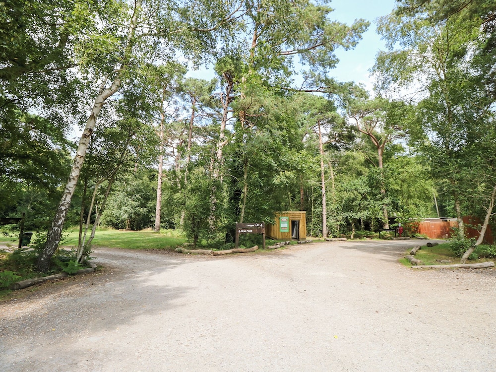 Lodge 6