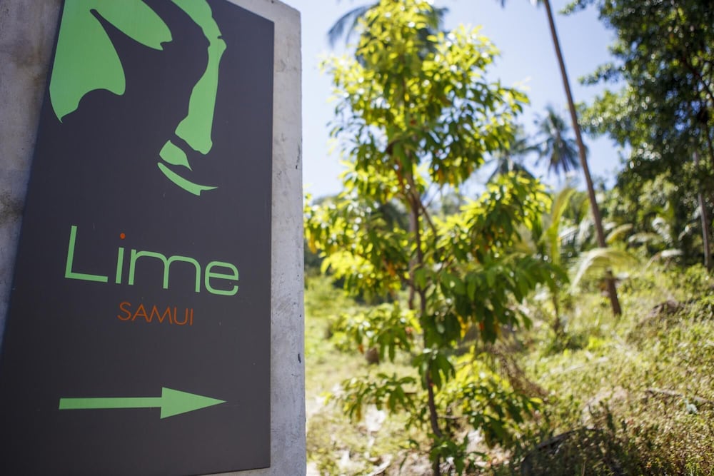 Lime Samui 3 Villas - Bang Makham view 2